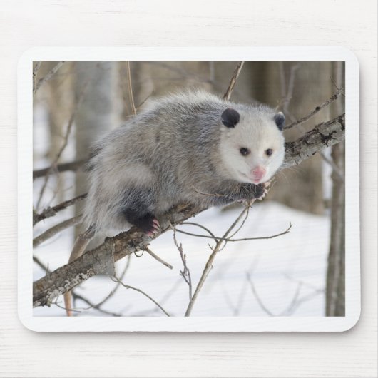 Opossum-Liebe Mousepad (Vorne)