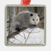 Opossum-Liebe Silbernes Ornament (Vorne)