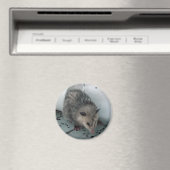 Opossum Magnet (In Situ (Geschirrspüler))