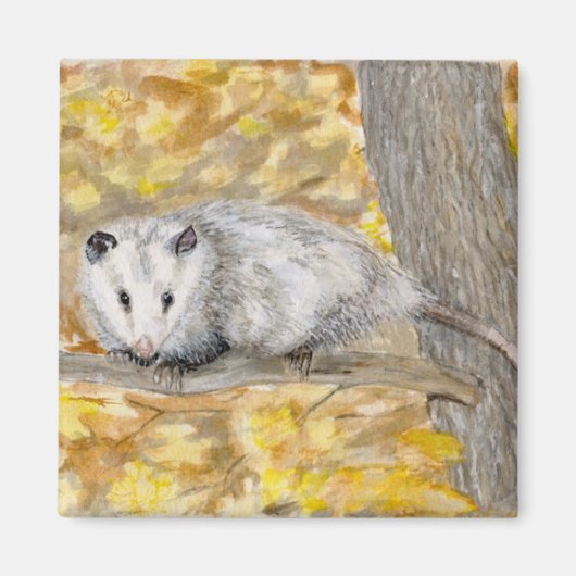 Opossum Magnet (Vorne)