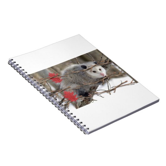 Opossum Nature Notebook Notizblock (Rechte Seite)