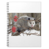 Opossum Nature Notebook Notizblock (Vorderseite)