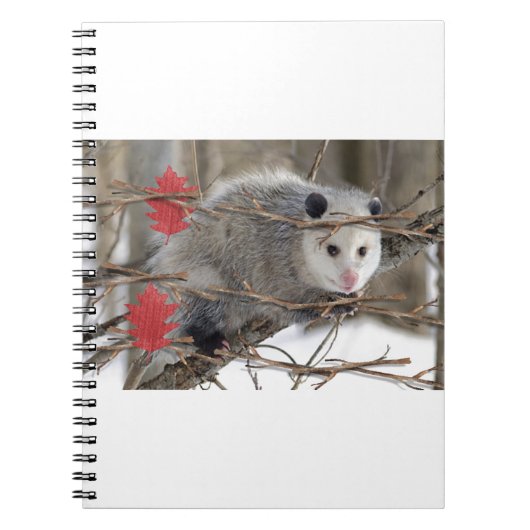 Opossum-Naturheft Notizblock (Vorderseite)