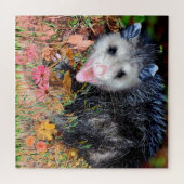Opossum Puzzle (Horizontal)