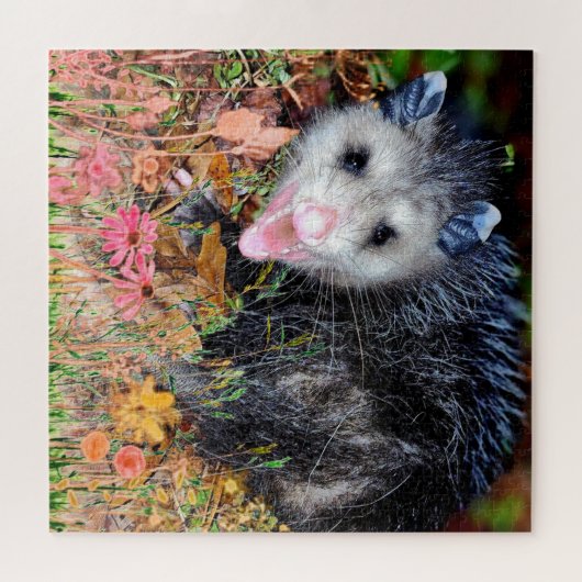 Opossum Puzzle (Horizontal)