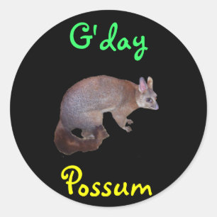 Opossum Runder Aufkleber