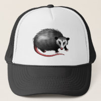 Opossum