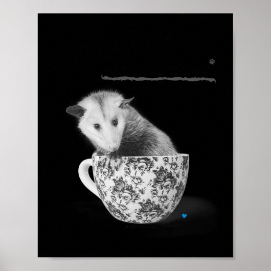 Opossummen sind deine Freunde Poster (Vorne)