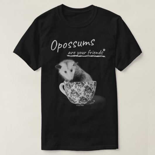 Opossummen sind deine Freunde T-Shirt (Design vorne)
