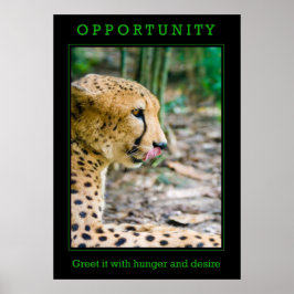 Opportunity Poster