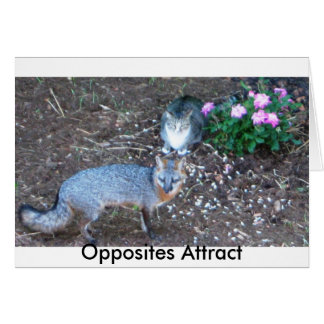 Opposites Attract