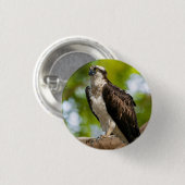 Opsrey in Colorado Button (Vorne & Hinten)
