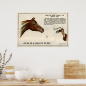 Optical illusion 1896 poster (Küche)