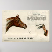 Optical illusion 1896 poster (Vorne)