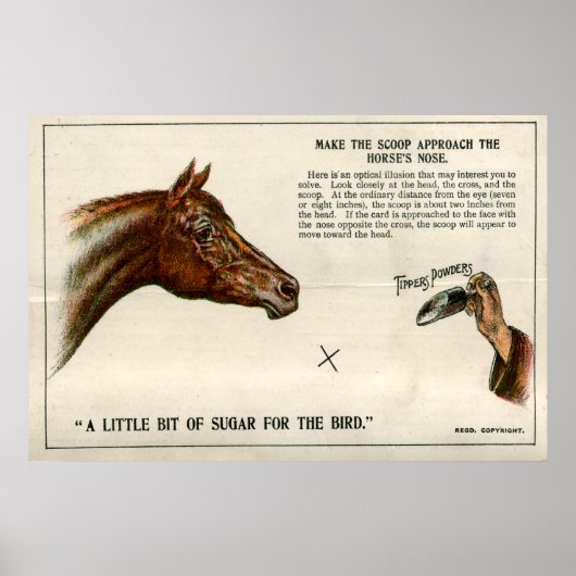 Optical illusion 1896 poster (Vorne)