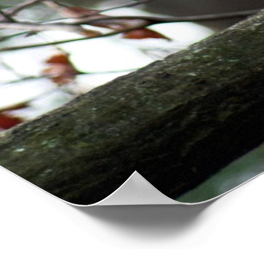 Optimistisches Schaf Poster (Ecke)