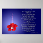 Optimist's Creed: Inspiration Hibiskus Poster (Vorne)