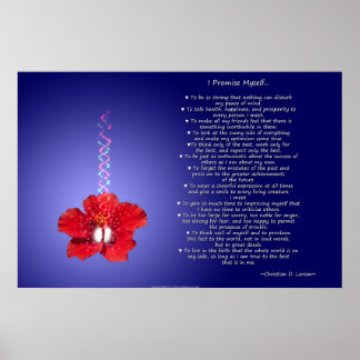 Optimist's Creed: Inspiration Hibiskus Poster