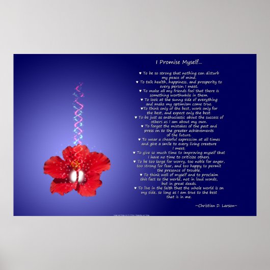 Optimist's Creed: Inspiration Hibiskus Poster (Vorne)