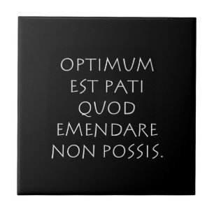 Optimum est pati quod emendare non posa fliese