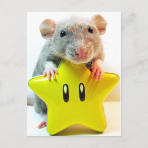 Optimus Star Postkarte