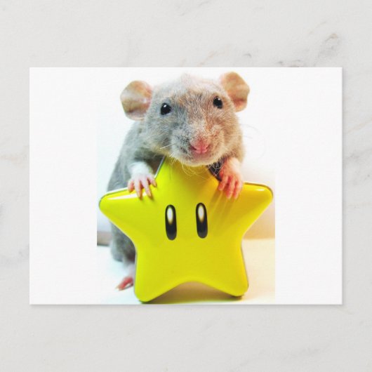 Optimus Star Postkarte (Vorderseite)