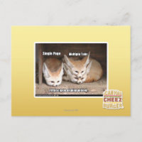 Optionen zur Seitendarstellung