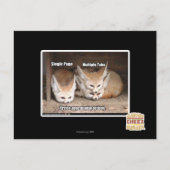 Optionen zur Seitendarstellung Postkarte (Vorderseite)