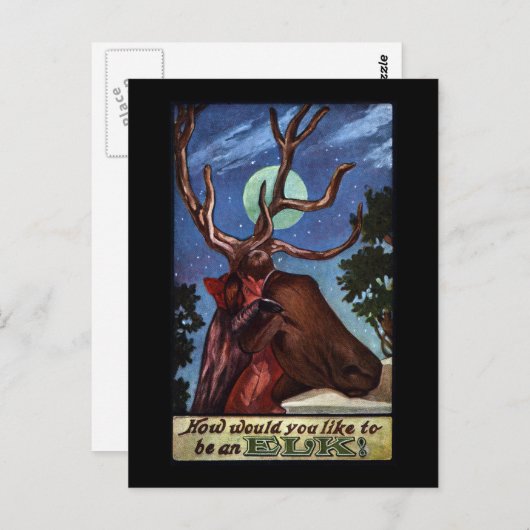 optische Illusion Elch Postkarte (Vorne/Hinten)