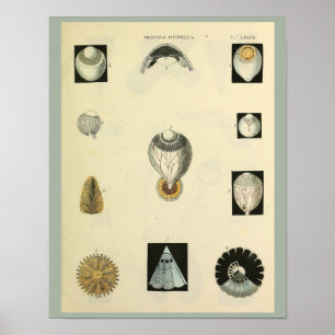 Optometrie-Augenanatomie Medizinischer Kunstdruck Poster
