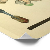 Optometrie Augenoptik Operation Medizin Art Printi Poster (Ecke)