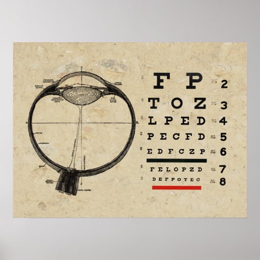 Optometrie Poster Ophthalmologe Augendiagramm (Vorne)