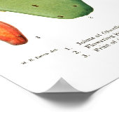 Opuntias Poster (Ecke)