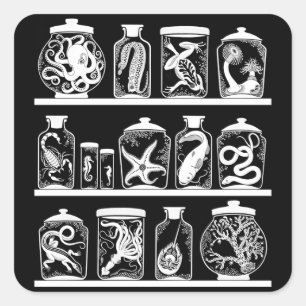 OPUS Neugier-Kabinett Quadratischer Aufkleber