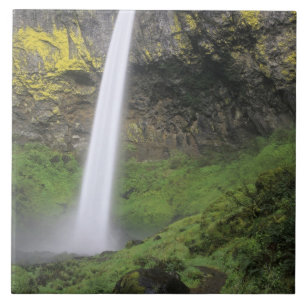 OR, Columbia River Gorge, Elowah-Fälle, McCord 2 Fliese
