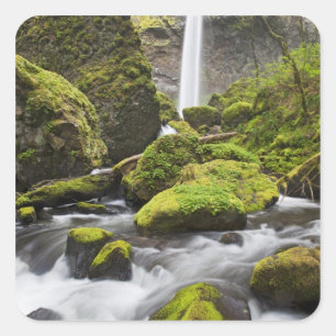 OR, Columbia River Gorge, Elowah Fälle und Quadratischer Aufkleber