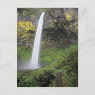 OR, Columbia River Gorge, Elowah Falls, McCord 2 Postkarte