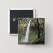 OR, Columbia River Gorge, Elowah Falls, McCord Button (Vorne & Hinten)