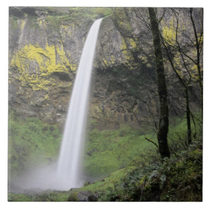 OR, Columbia River Gorge, Elowah Falls, McCord Fliese