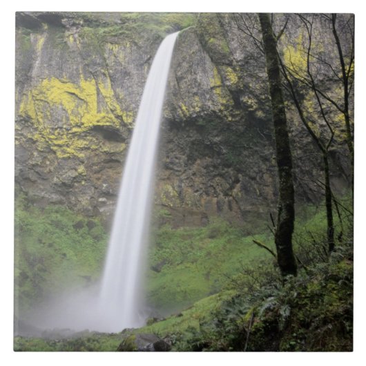 OR, Columbia River Gorge, Elowah Falls, McCord Fliese (Vorderseite)
