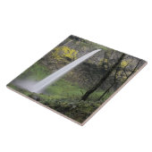 OR, Columbia River Gorge, Elowah Falls, McCord Fliese (Seite)