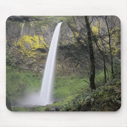 OR, Columbia River Gorge, Elowah Falls, McCord Mousepad (Vorne)