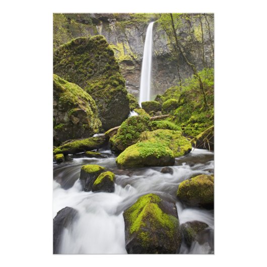 OR, Columbia River Gorge, Elowah Falls und Fotodruck (Vorne)