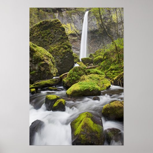 OR, Columbia River Gorge, Elowah Falls und Poster (Vorne)