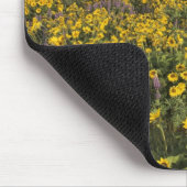 OR, Columbia River Gorge, Rowena Plateau, Tom Mousepad (Ecke)