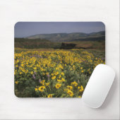OR, Columbia River Gorge, Rowena Plateau, Tom Mousepad (Mit Mouse)
