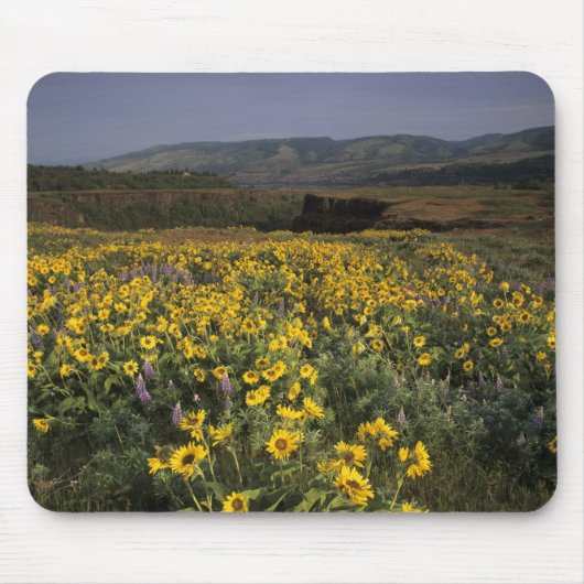OR, Columbia River Gorge, Rowena Plateau, Tom Mousepad (Vorne)