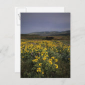 OR, Columbia River Gorge, Rowena Plateau, Tom Postkarte (Vorne/Hinten)