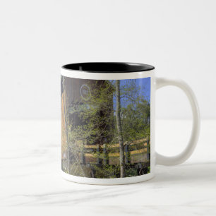 OR, Jackson County, McKee Covered Bridge Zweifarbige Tasse