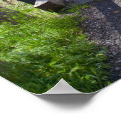 OR, Jackson Landkreis, McKee Covered Bridge Poster (Ecke)